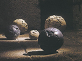 Ternerosbola; chanchosbola y pollosbola