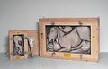 Cajas de nonatos