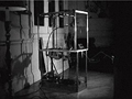 Machine for calf 