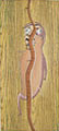Río seco