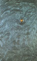 Sin título, 1992
