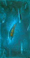 Sin título, 1998