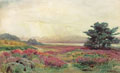 Malharro. Paisaje, 1900